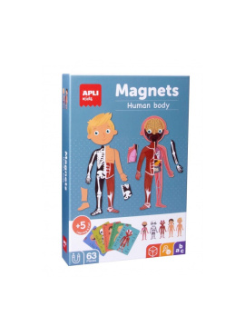 B.Magnets The Human Body 63U