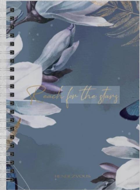 Reach for the stars (планер)