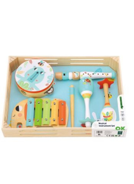 Music Instrument Set - TF567