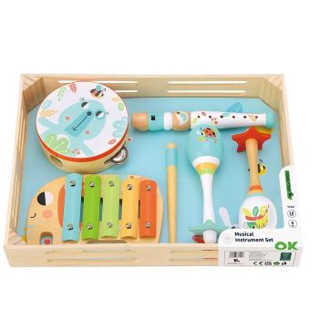 Music Instrument Set - TF567