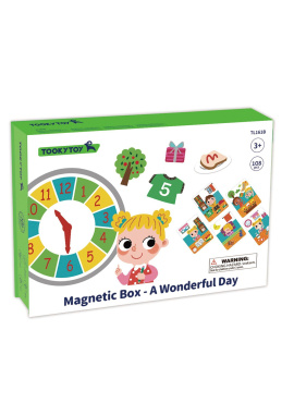 Magnetic Box - A Wonderful Day - TL161B