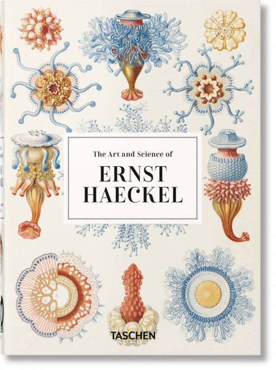 40-The Art and Science of Ernst Haeckel