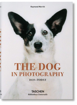 bu-The Dog in Photography 1839-Today