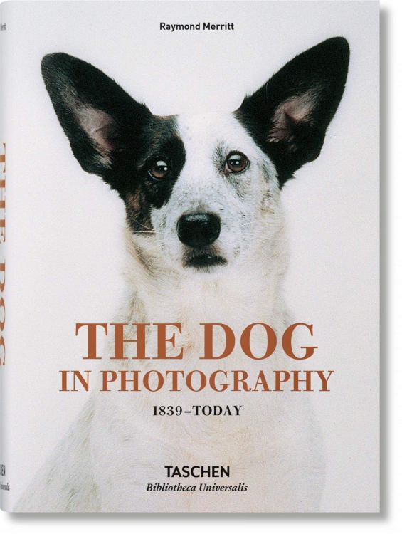 bu-The Dog in Photography 1839-Today