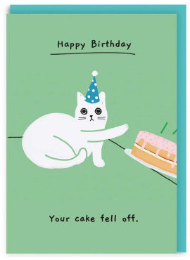 Your Cake Fell Off Birthday Card (8813)